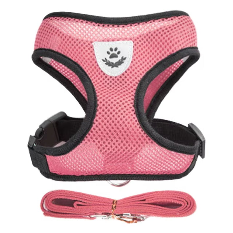 Adjustable Cat and Dog Harness with Breathable Mesh Vest and Traction Rope Set for Small to Medium Pets